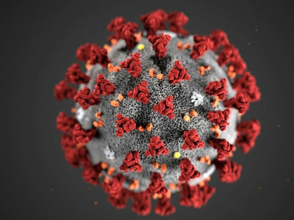 Coronavirus Coronavirus